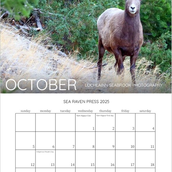 Mini 2025 Rocky Mountain Custom Wildlife Calendar For Small Spaces 11.5" x 8" - Picture 11 of 13